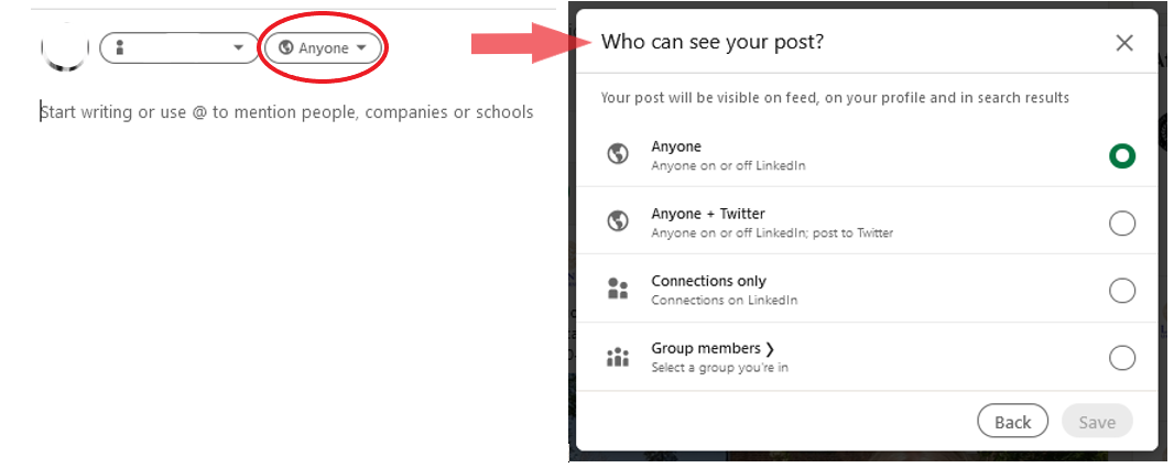 Screenshot of settings for who can see your LinkedIn post